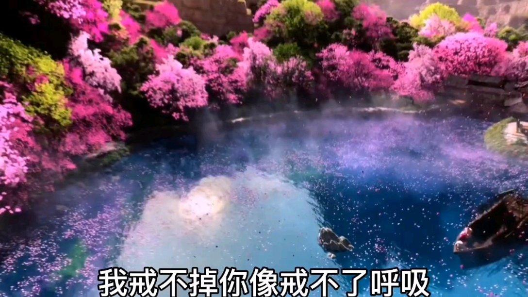 小鸟快跑